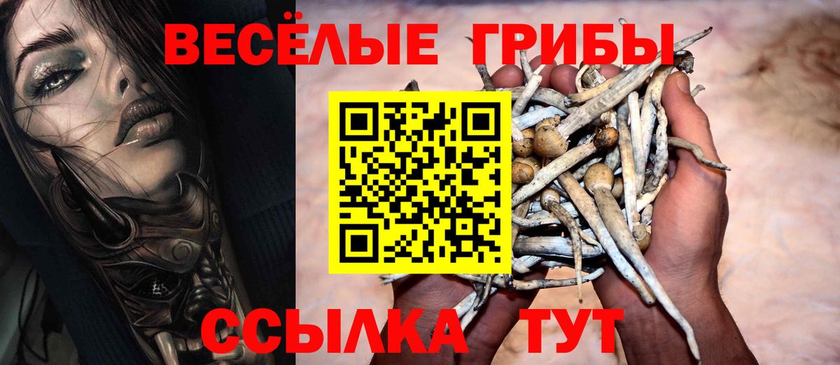 Галлюциногенные грибы MAGIC MUSHROOMS Щёлково